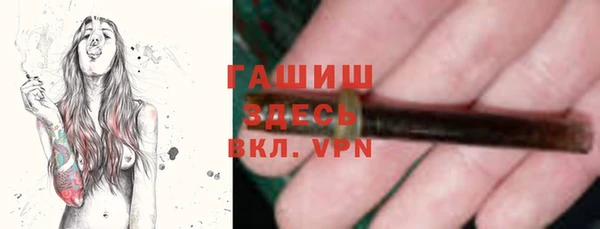 гашик Алексин