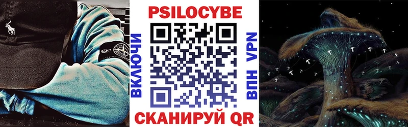 Псилоцибиновые грибы Psilocybine cubensis  Анива 